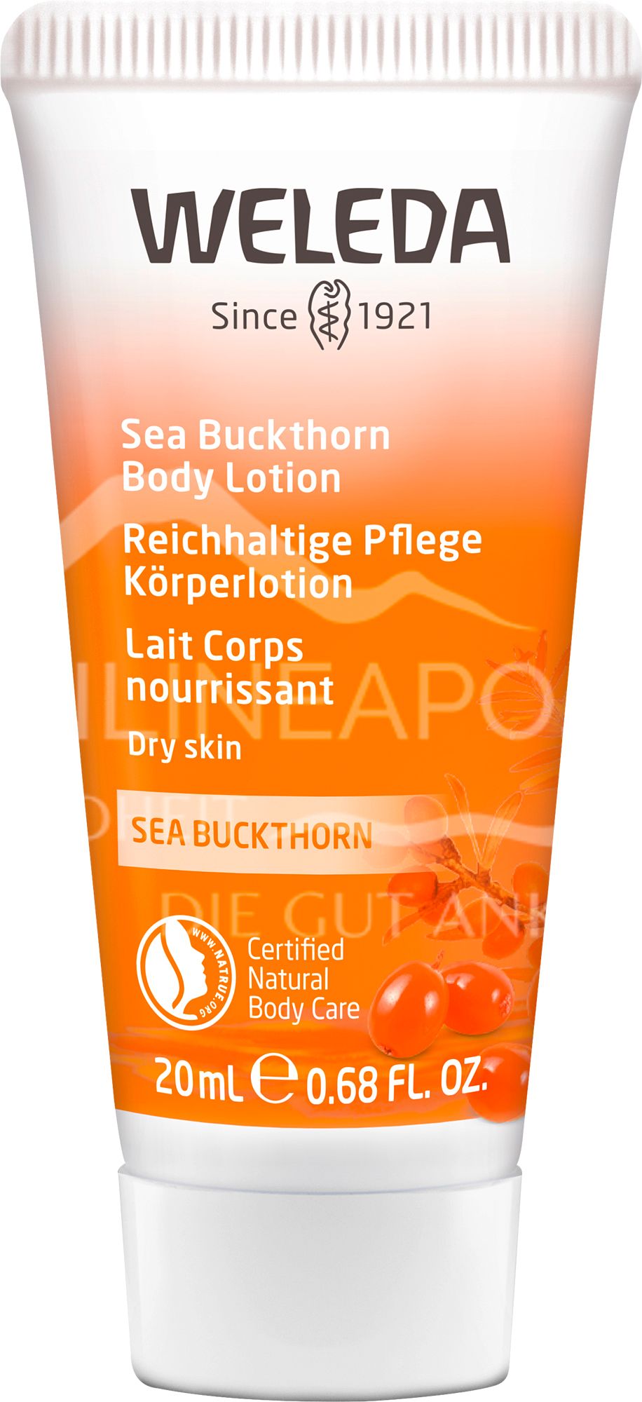 Weleda Reichhaltige Pflege Körperlotion Sanddorn