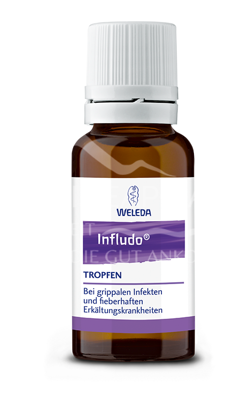 Weleda Infludo® Tropfen
