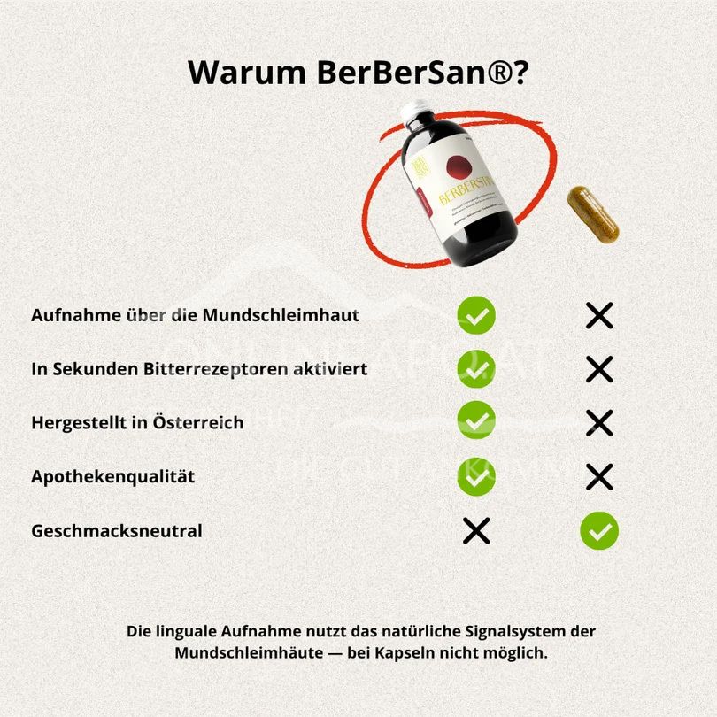 BerBerSan® Berberstin Berberinsaft