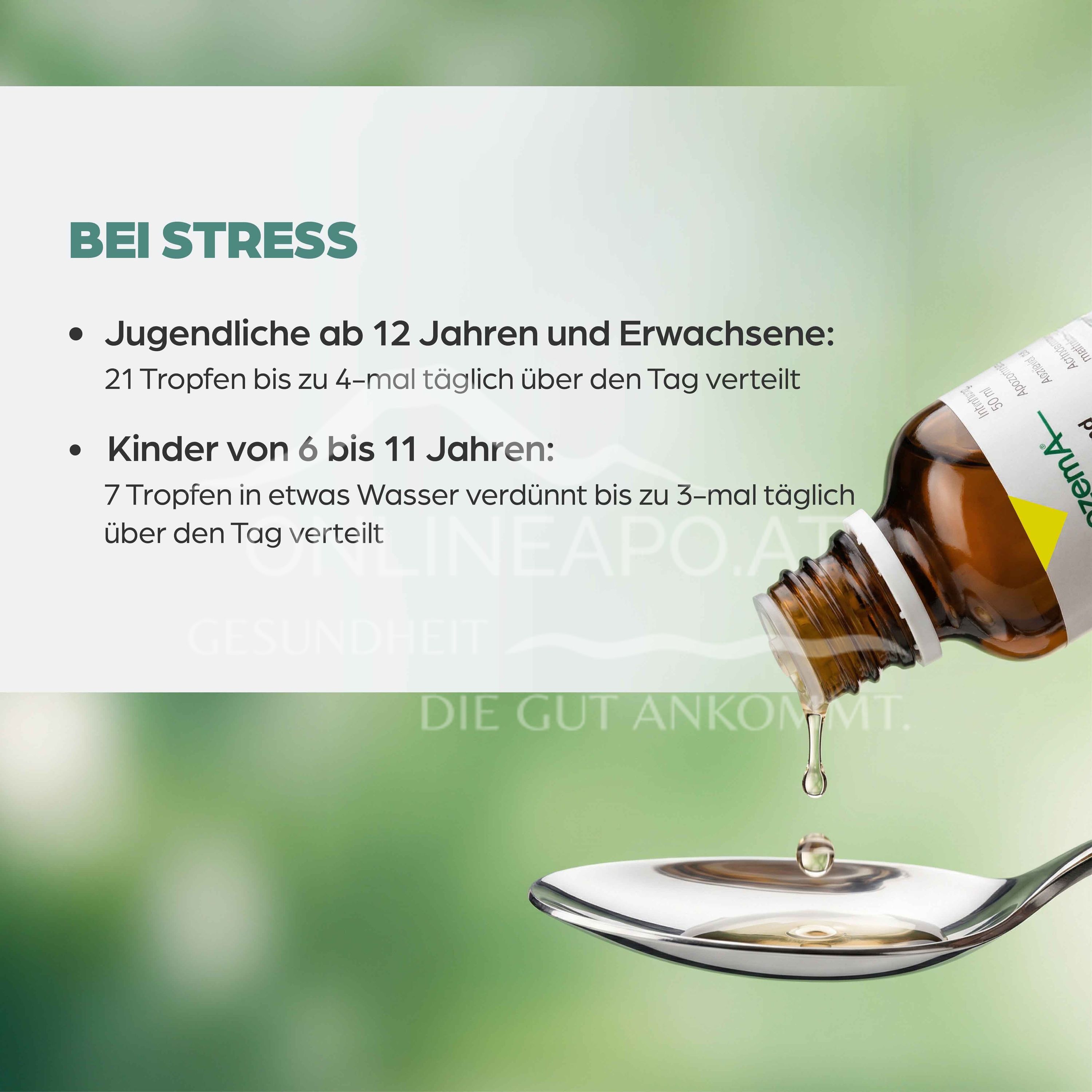 Apozema® Stress and Nerves Lycopus virginicus complex No. 33 drops for oral use