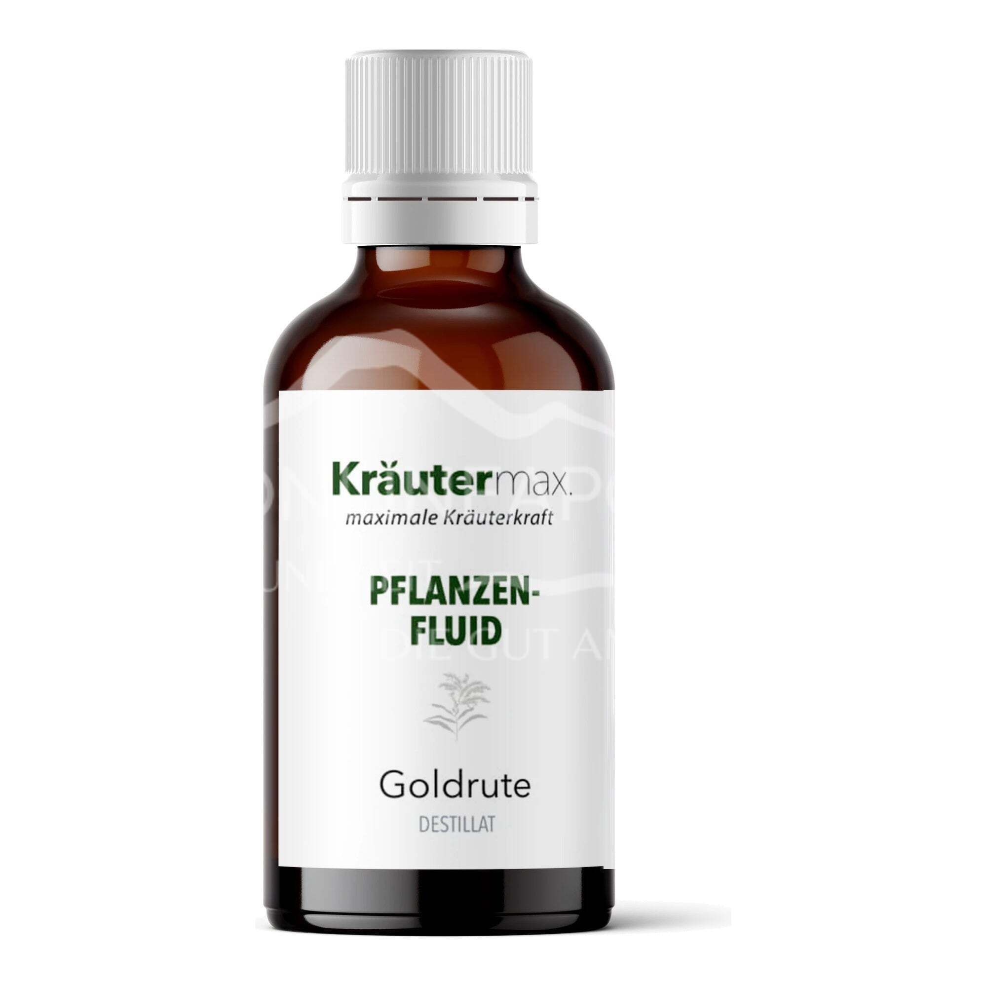 Kräutermax Goldrute Tropfen Fluid