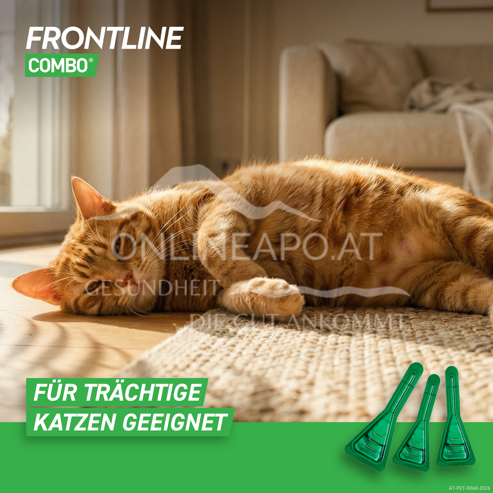 Frontline Combo Spot on cat solution to be dripped onto the skin