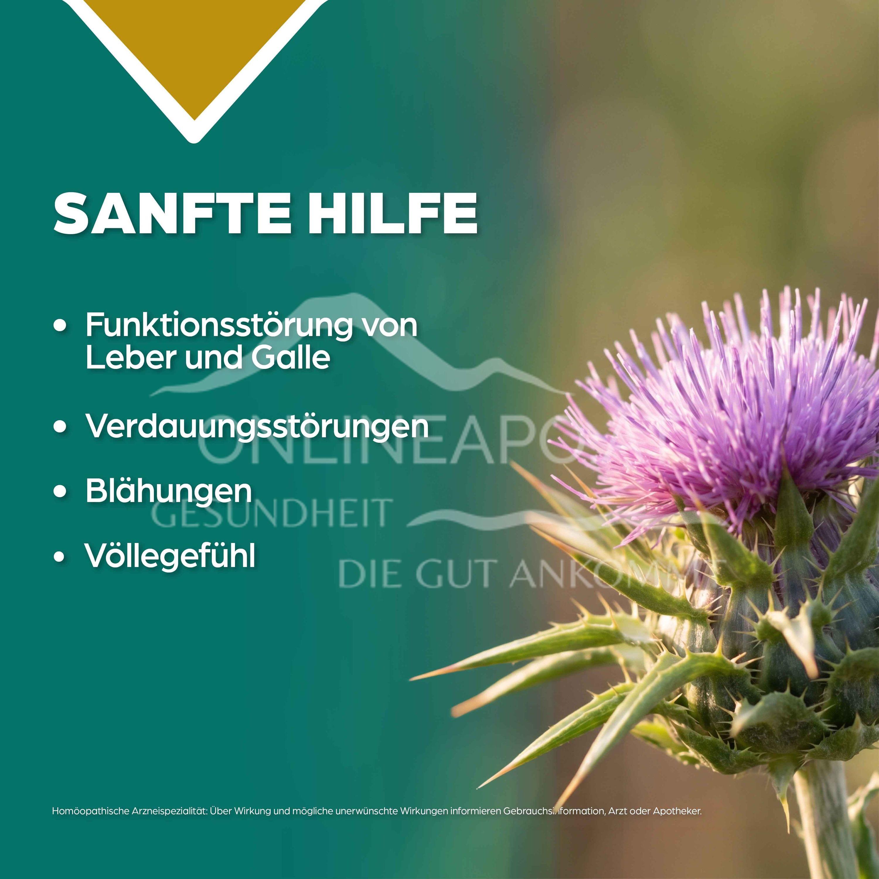 Apozema® Leber und Galle Carduus marianus complex Nr. 21 Tropfen zum Einnehmen