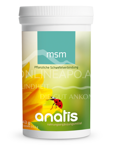 anatis MSM Kapseln