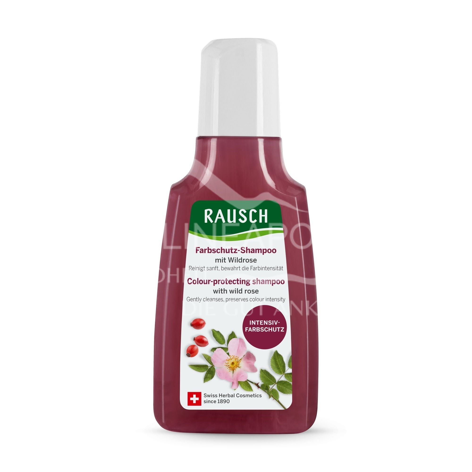 RAUSCH Colour Protection Shampoo with Wild Rose | delivered fast and ...