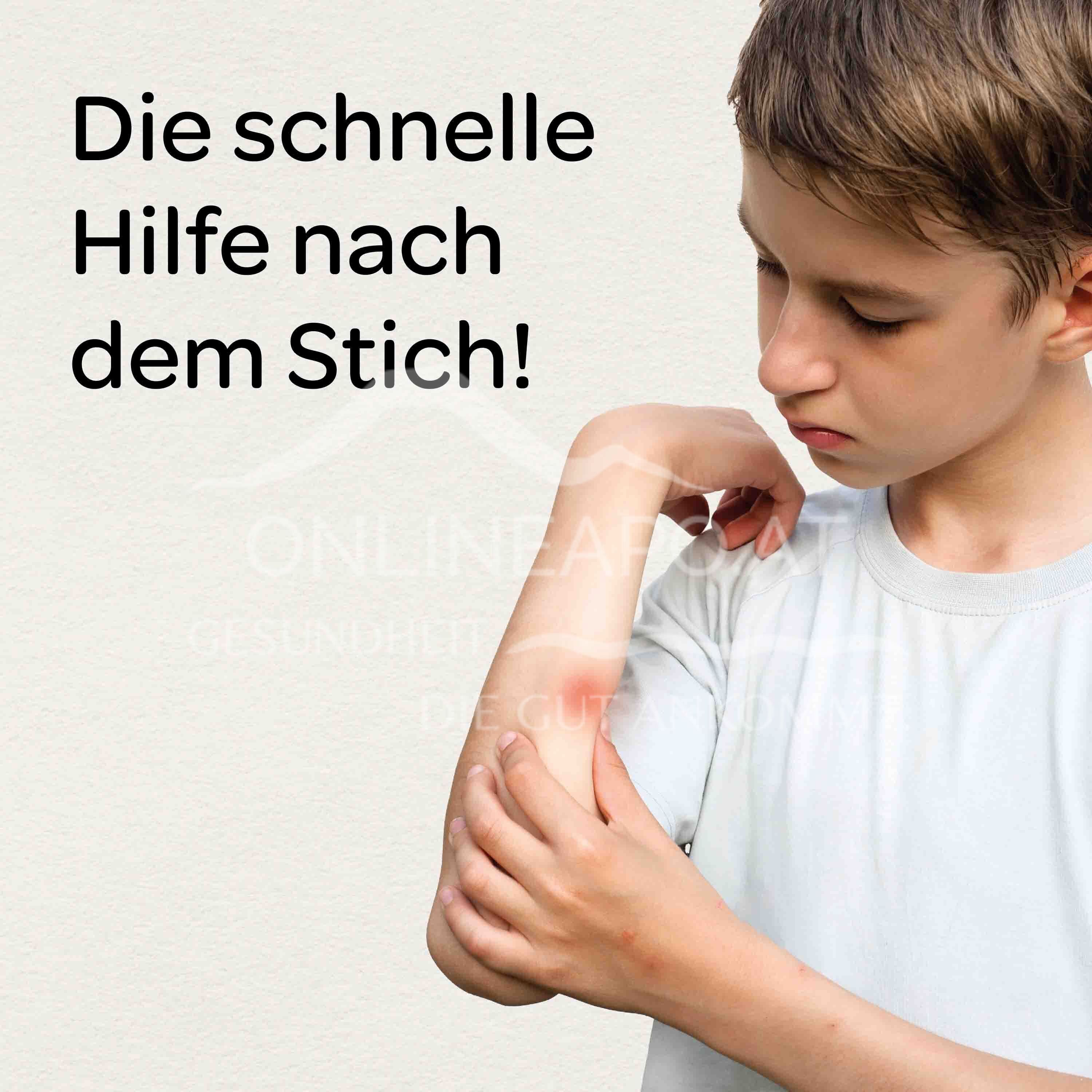 Insecticum® Gel