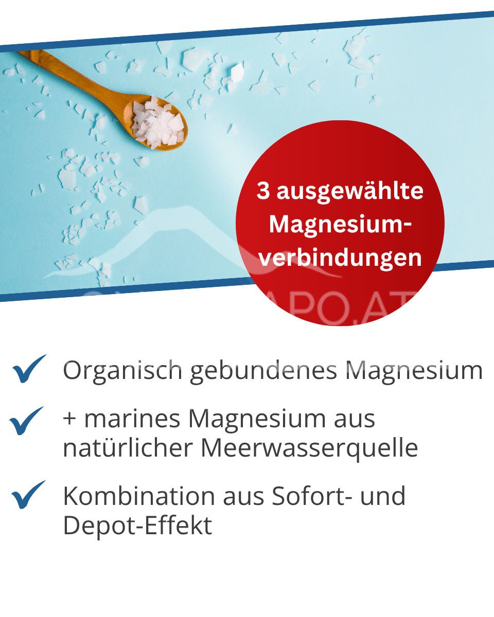 Dr. Wolz Magnesium Komplex Kapseln