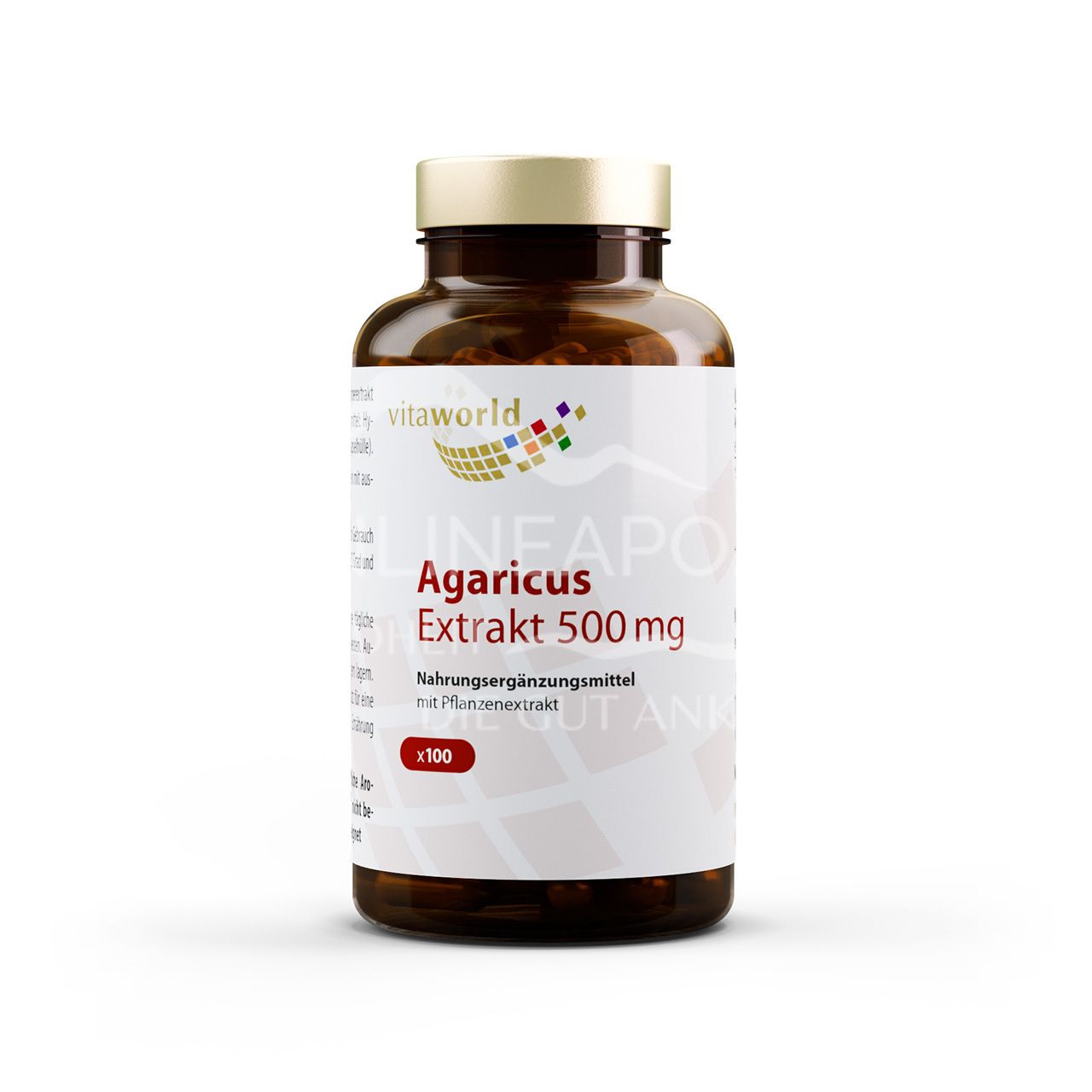 Vitaworld Agaricus Extrakt 500 mg Kapseln