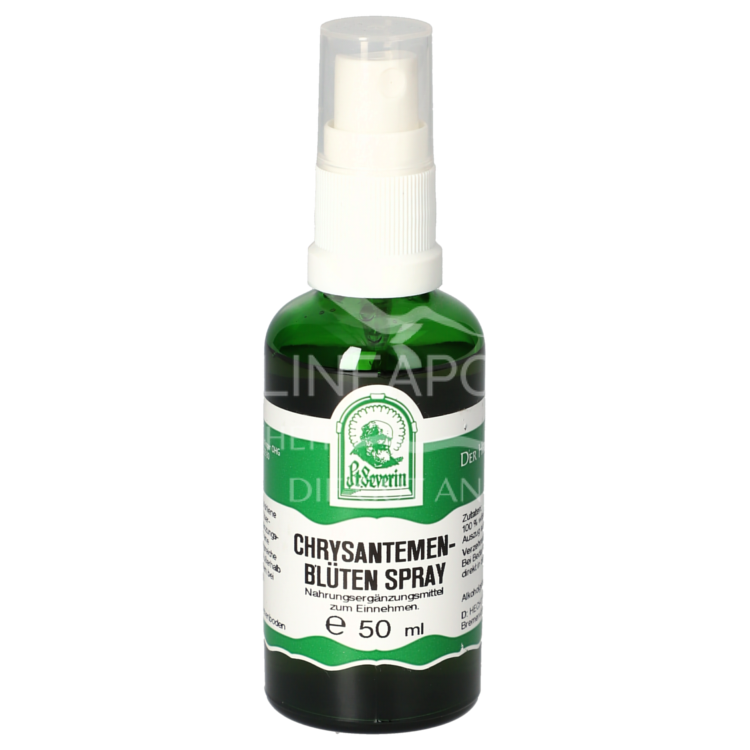 Father Severin Chrysanthemum Blossom Spray