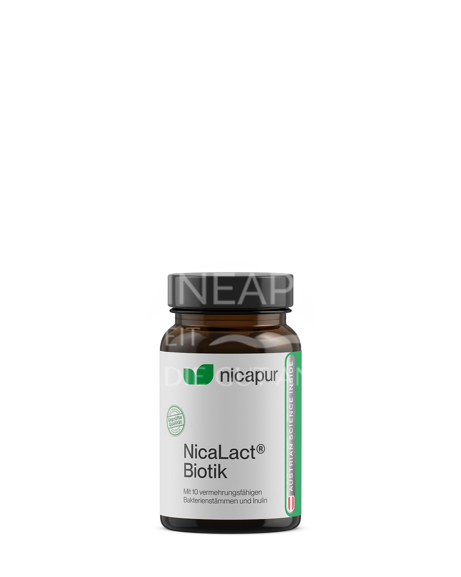 NICApur NicaLact® Biotik Kapseln