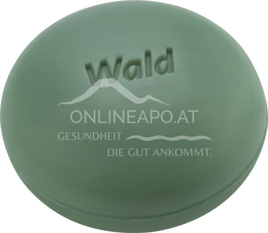 Speick Dusch + Badeseife Wald