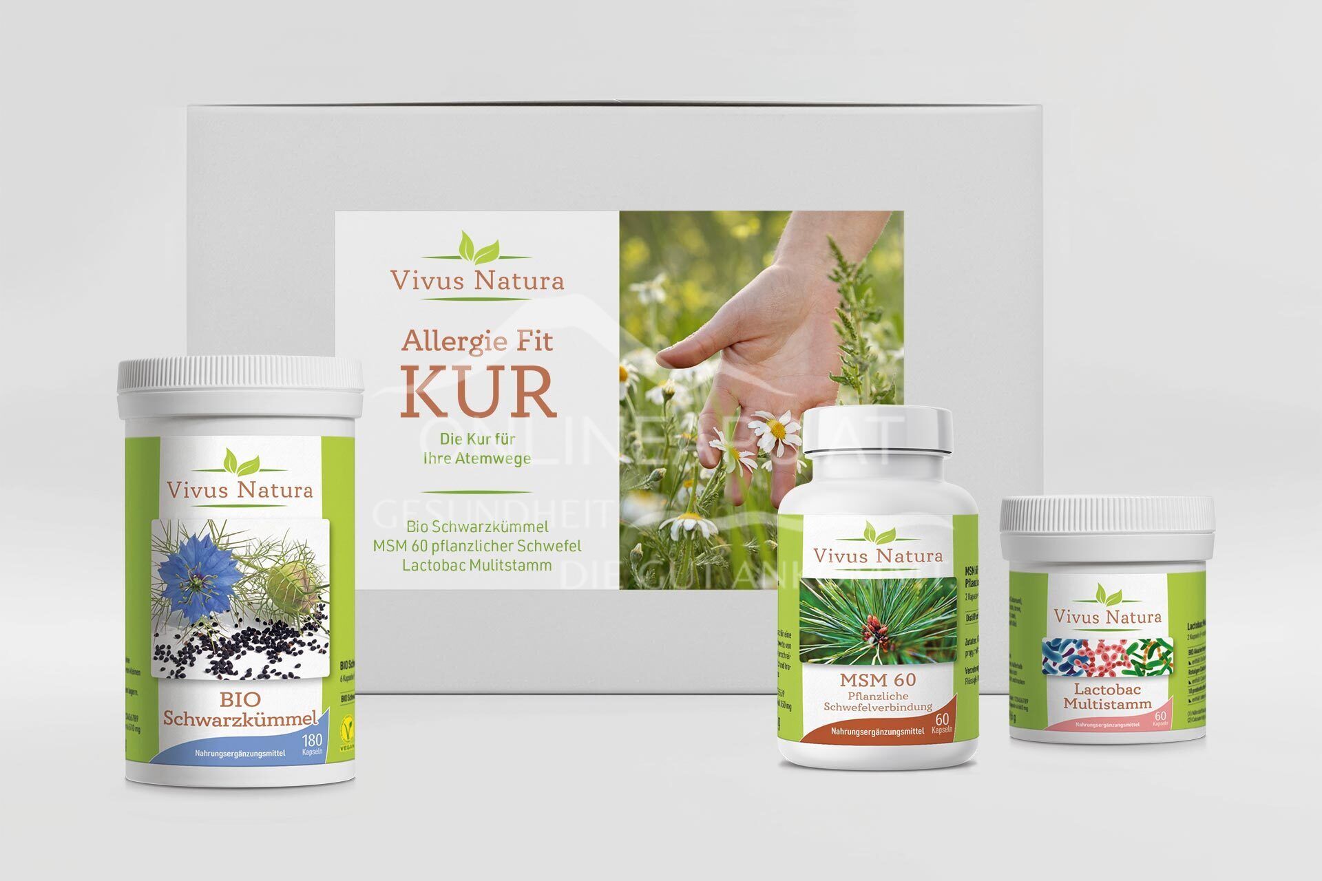 Vivus Natura Allergie Fit Kur