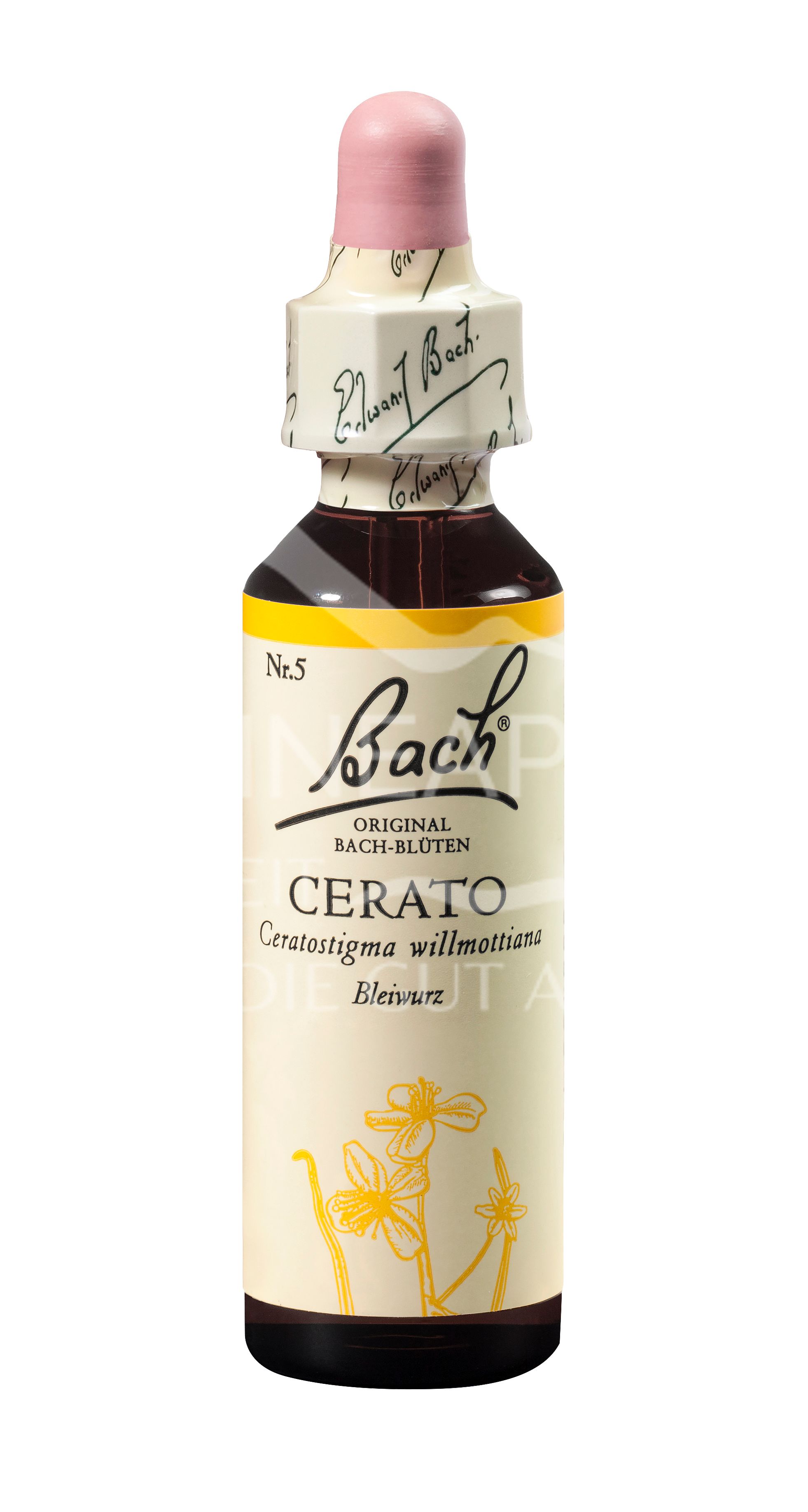 Bach®-Blüte Nr. 5 Cerato (Bleiwurz) Tropfen