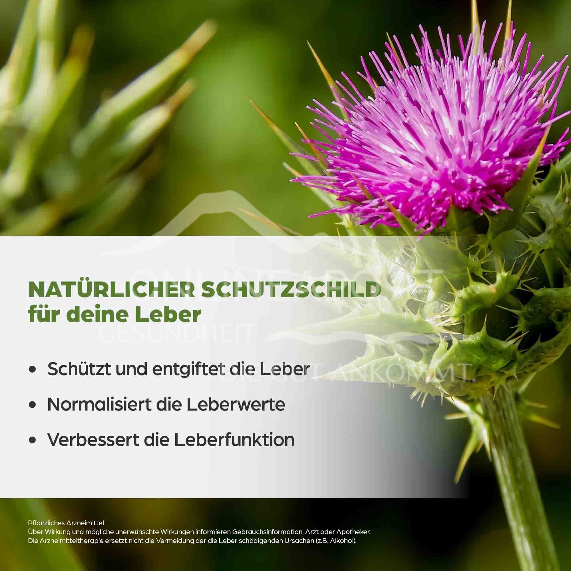 Dr Böhm® Milk Thistle 140 mg Capsules