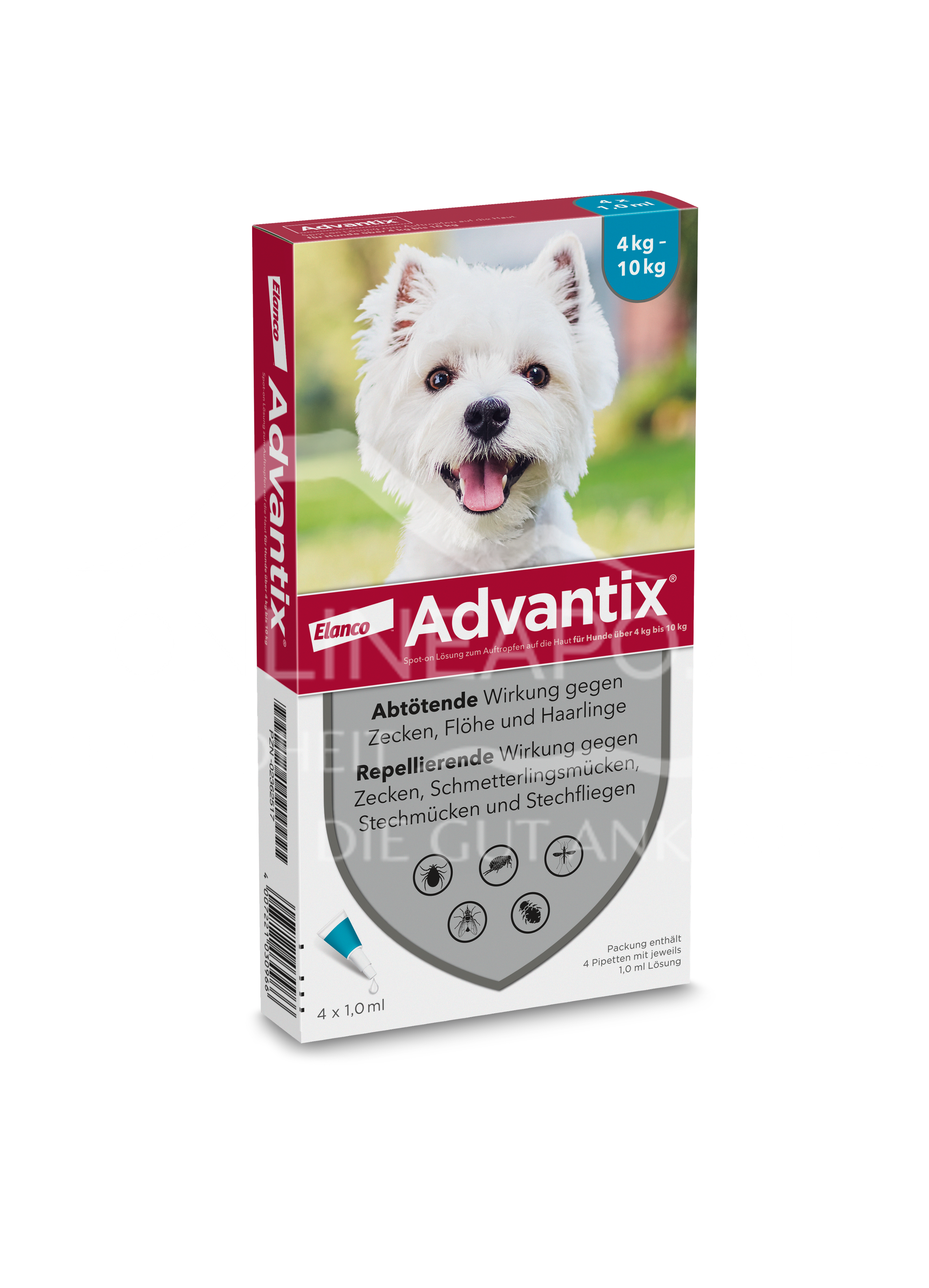 Advantix spot clearance on hund