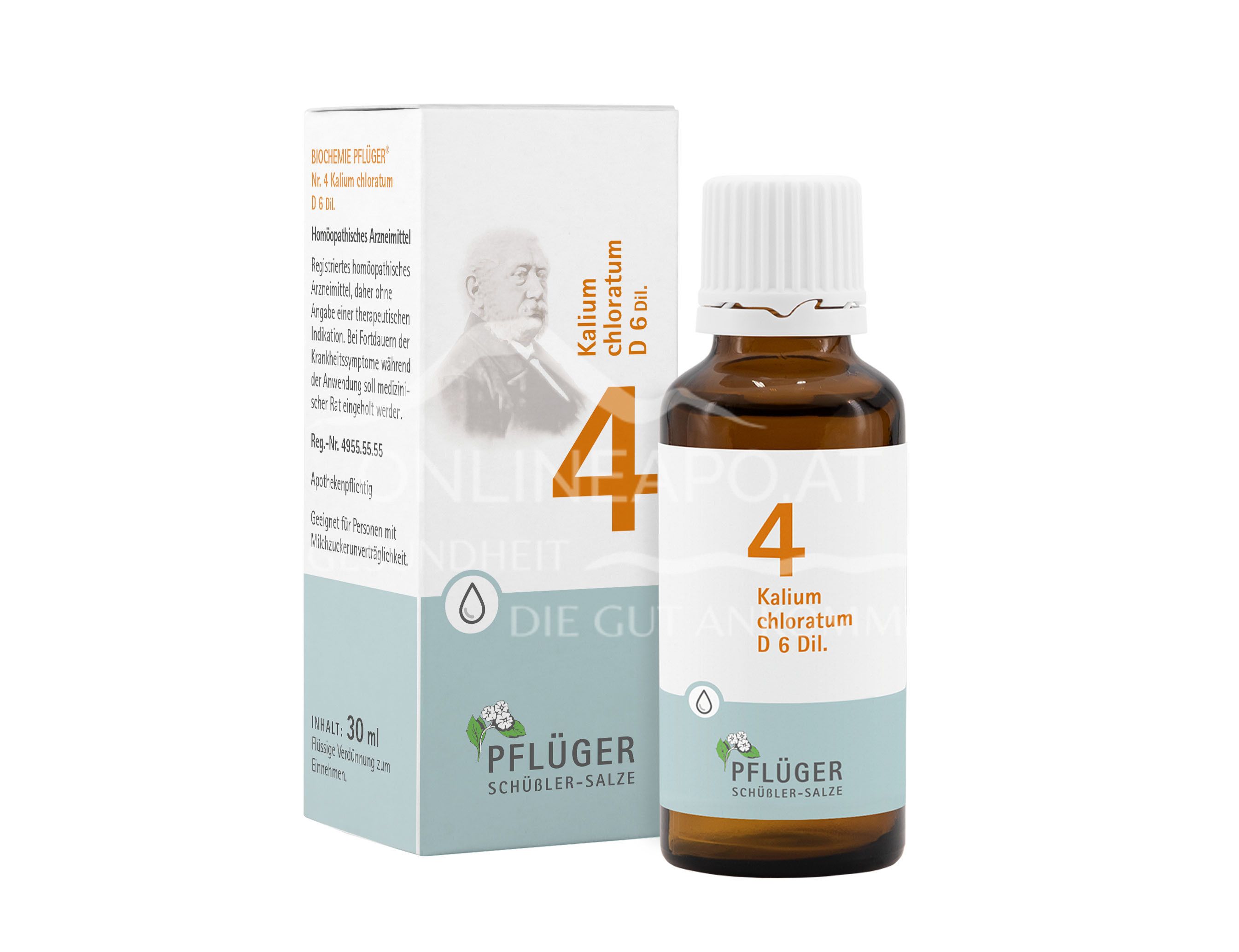 BIOCHEMIE PFLÜGER® No. 8 Natrium chloratum D 6 Dil. drops Copy