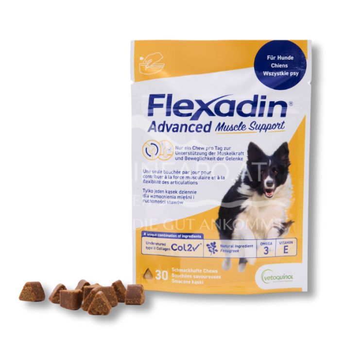 Flexadin Advanced Muscle Support Chews for dogs