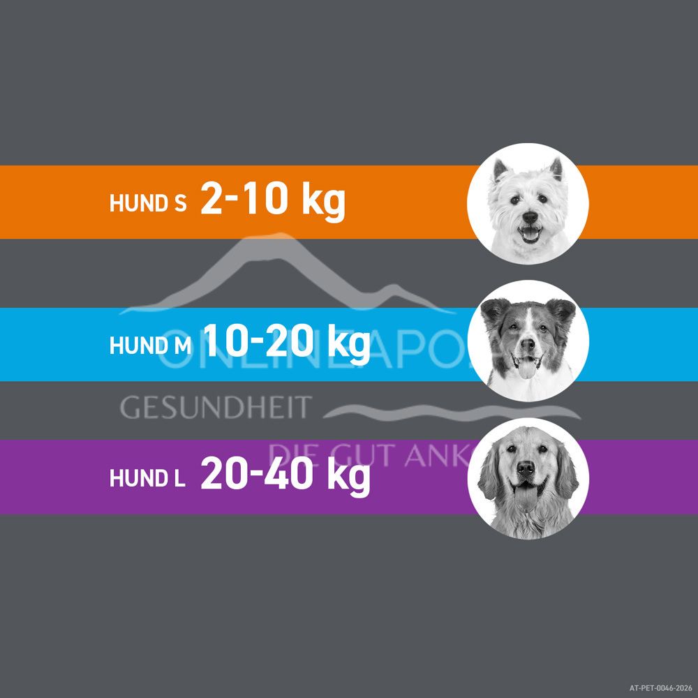 Frontline Spot on Small Dogs 67 mg solution to be dripped onto the skin
