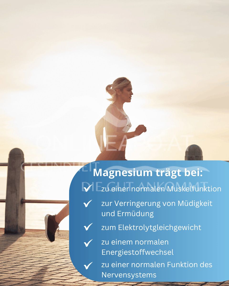 Dr. Wolz Magnesium Komplex Kapseln