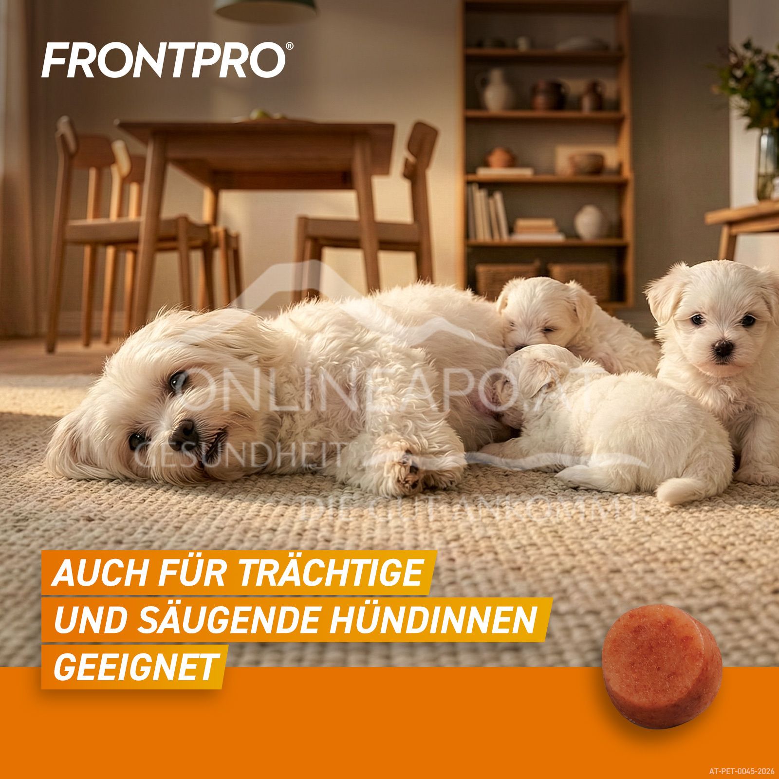 FRONTPRO® 11 mg chewable tablets for dogs 2 - 4 kg