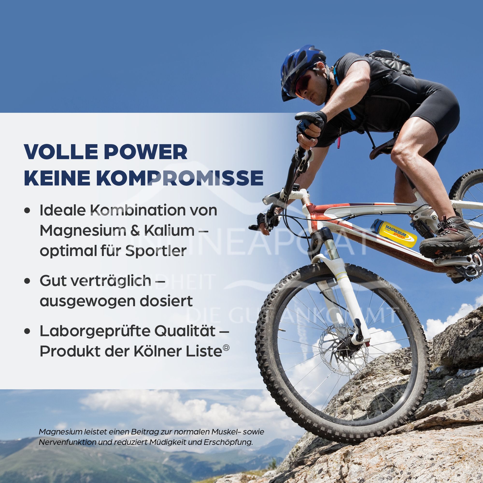 Dr Böhm® Magnesium Sport® Effervescent Tablets