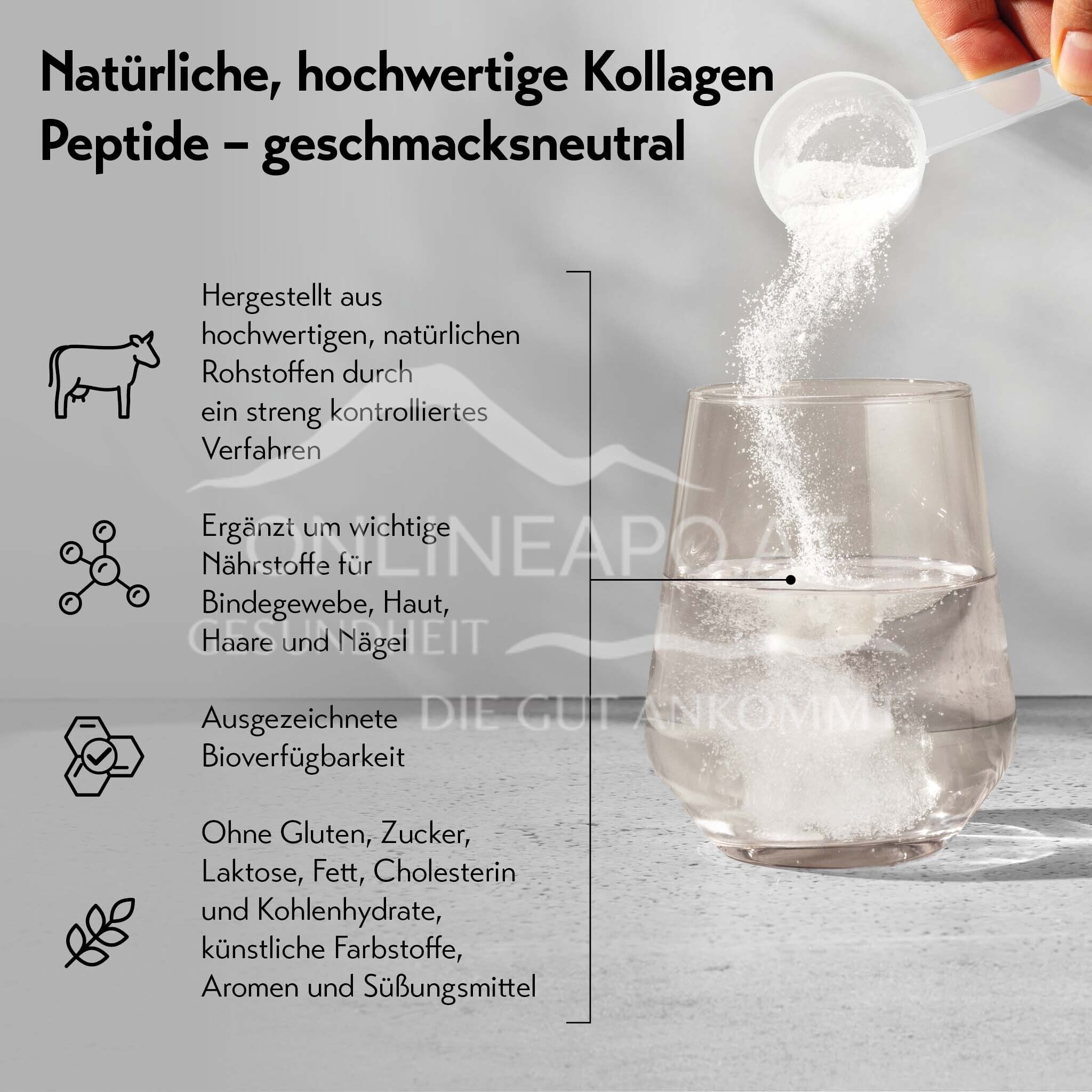 pureSGP® Collagen Peptide Powder