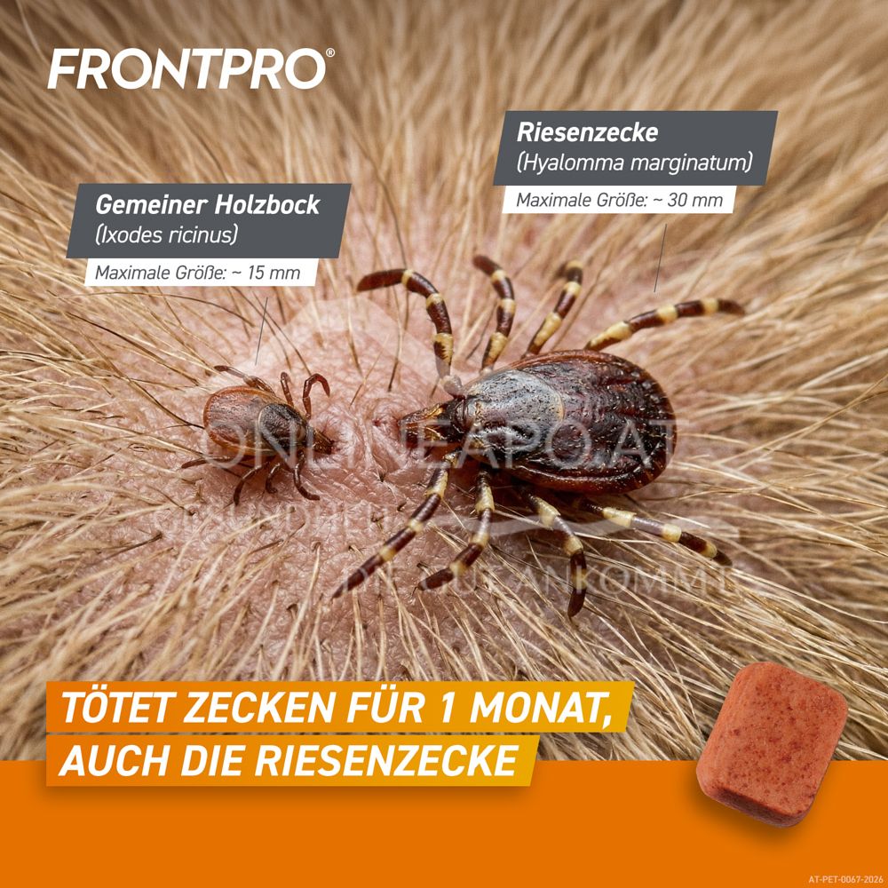 FRONTPRO® 136 mg chewable tablets for dogs > 25 - 50 kg