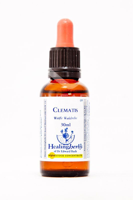 Healing Herbs Clematis (Weiße Waldrebe) Bachblüten Tropfen
