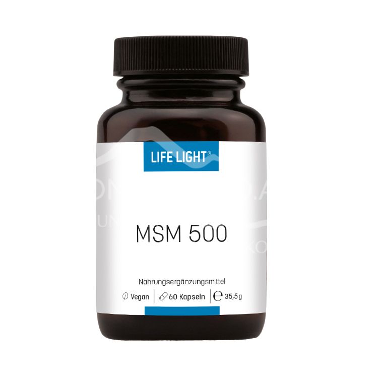 Life Light MSM 500 capsules
