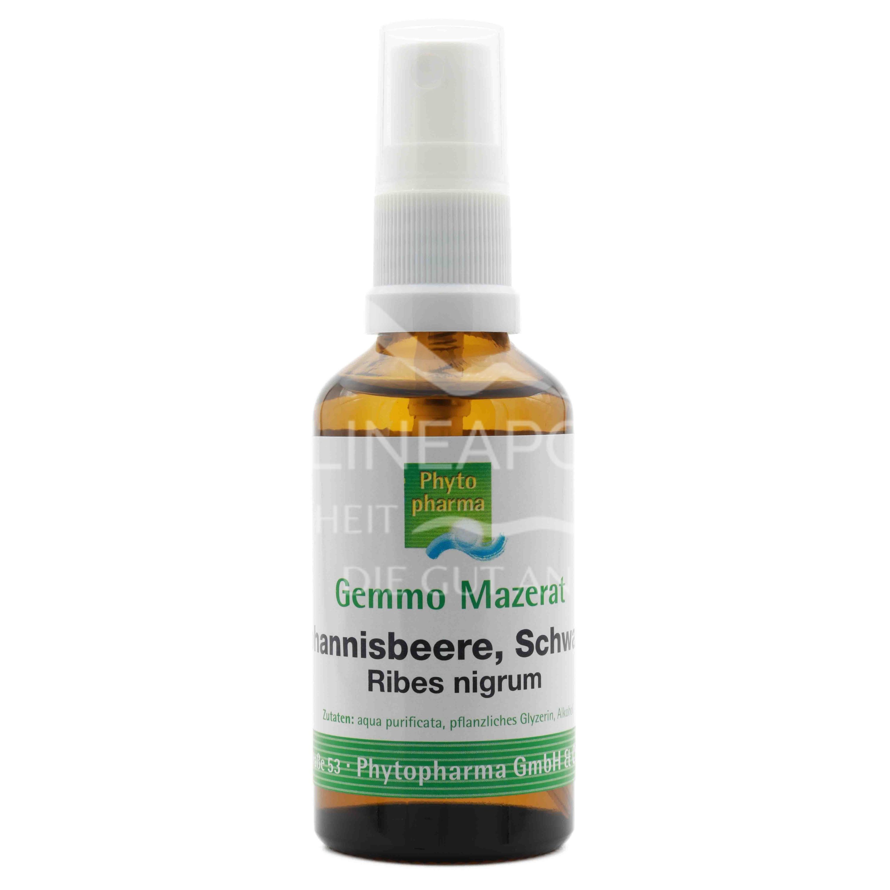 Phytopharma Gemmo Mazerat Schwarze Johannisbeere Spray