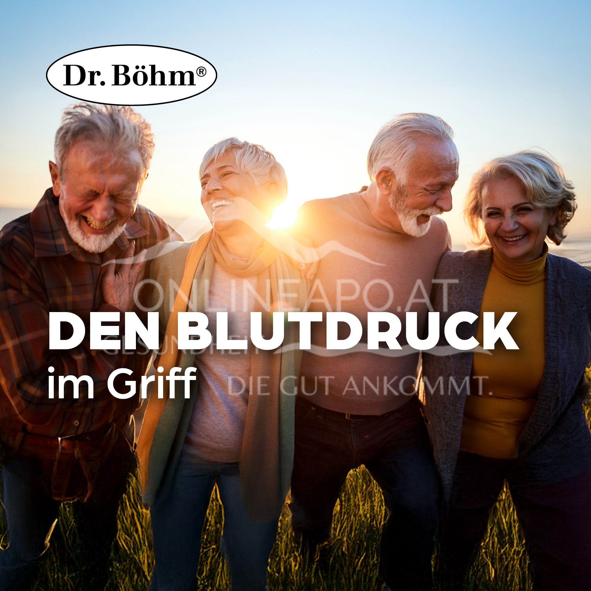 Dr Böhm® Blood Pressure Formula Tablets