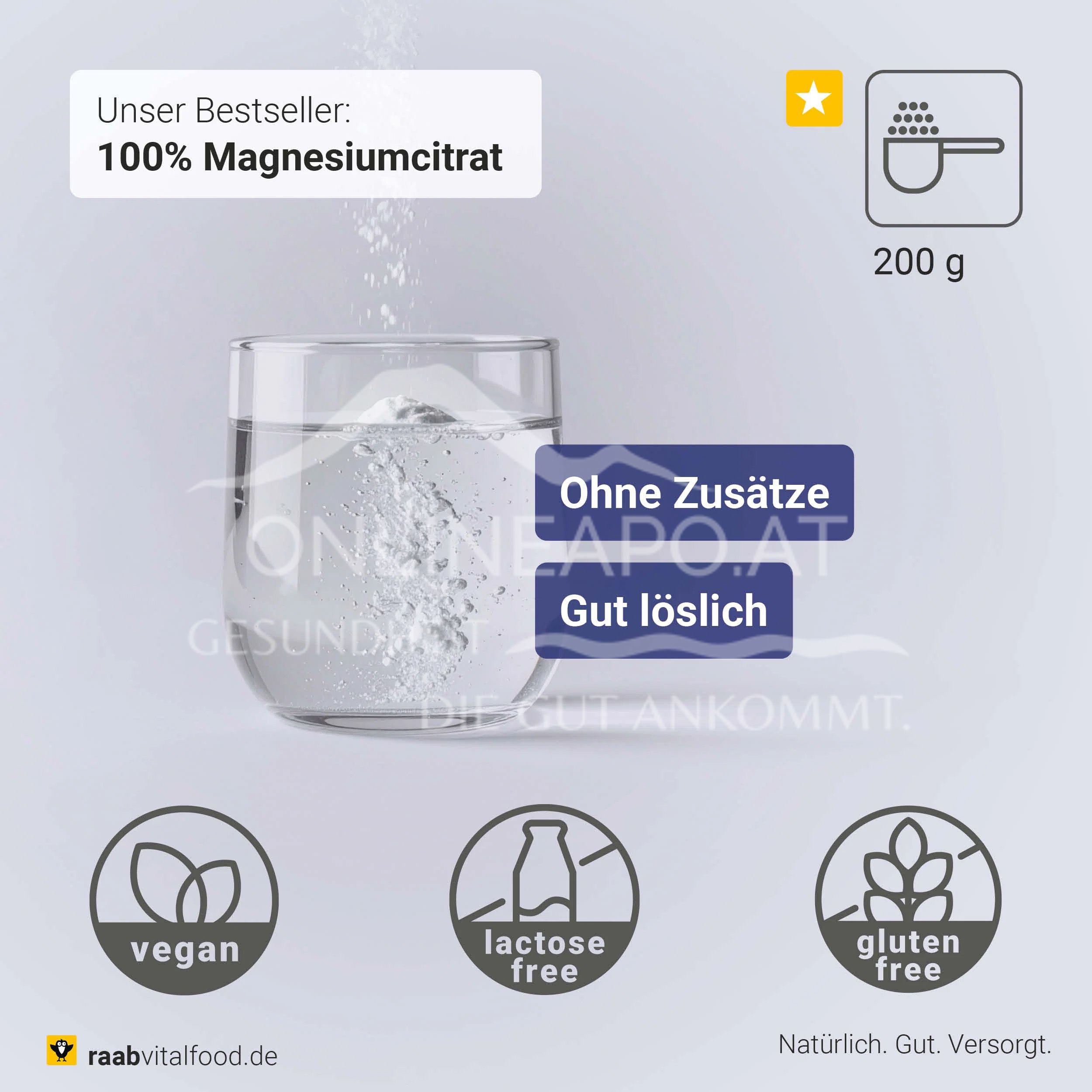 Raab® Vitalfood Magnesiumcitrat Pulver