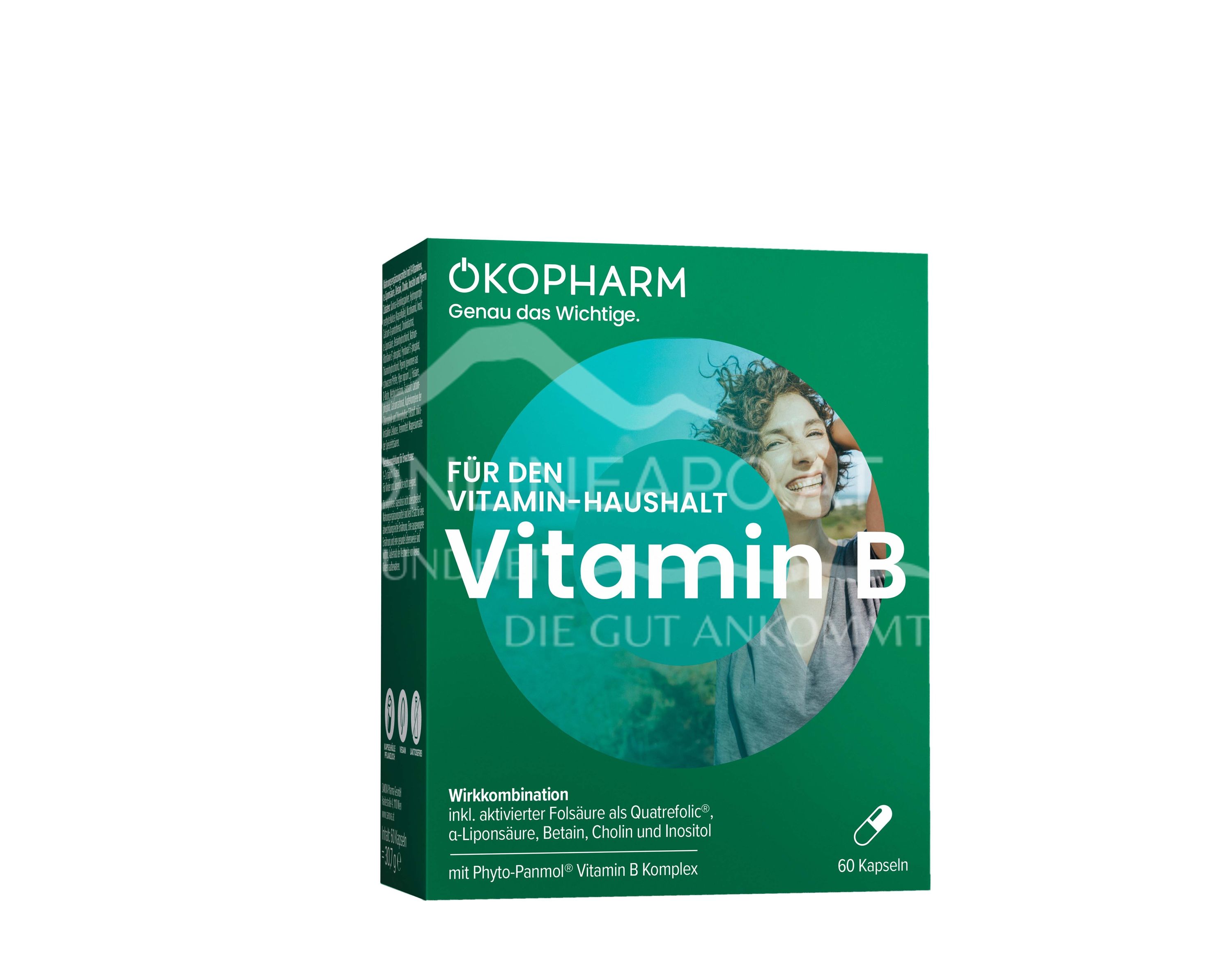 Ökopharm® Für den Vitamin-Haushalt Vitamin B Kapseln