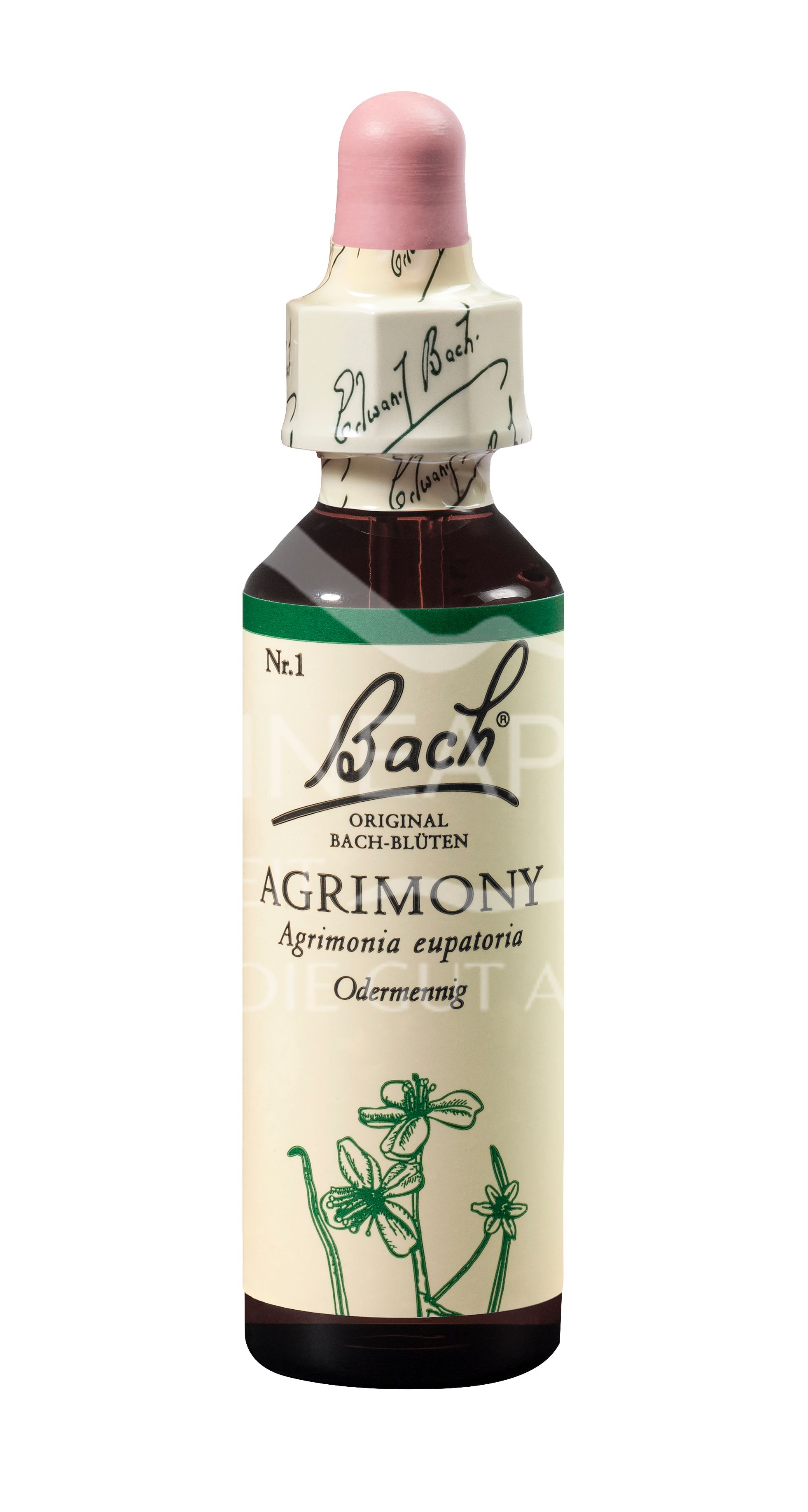 Bach®-Blüte Nr. 1 Agrimony (Odermenning) Tropfen