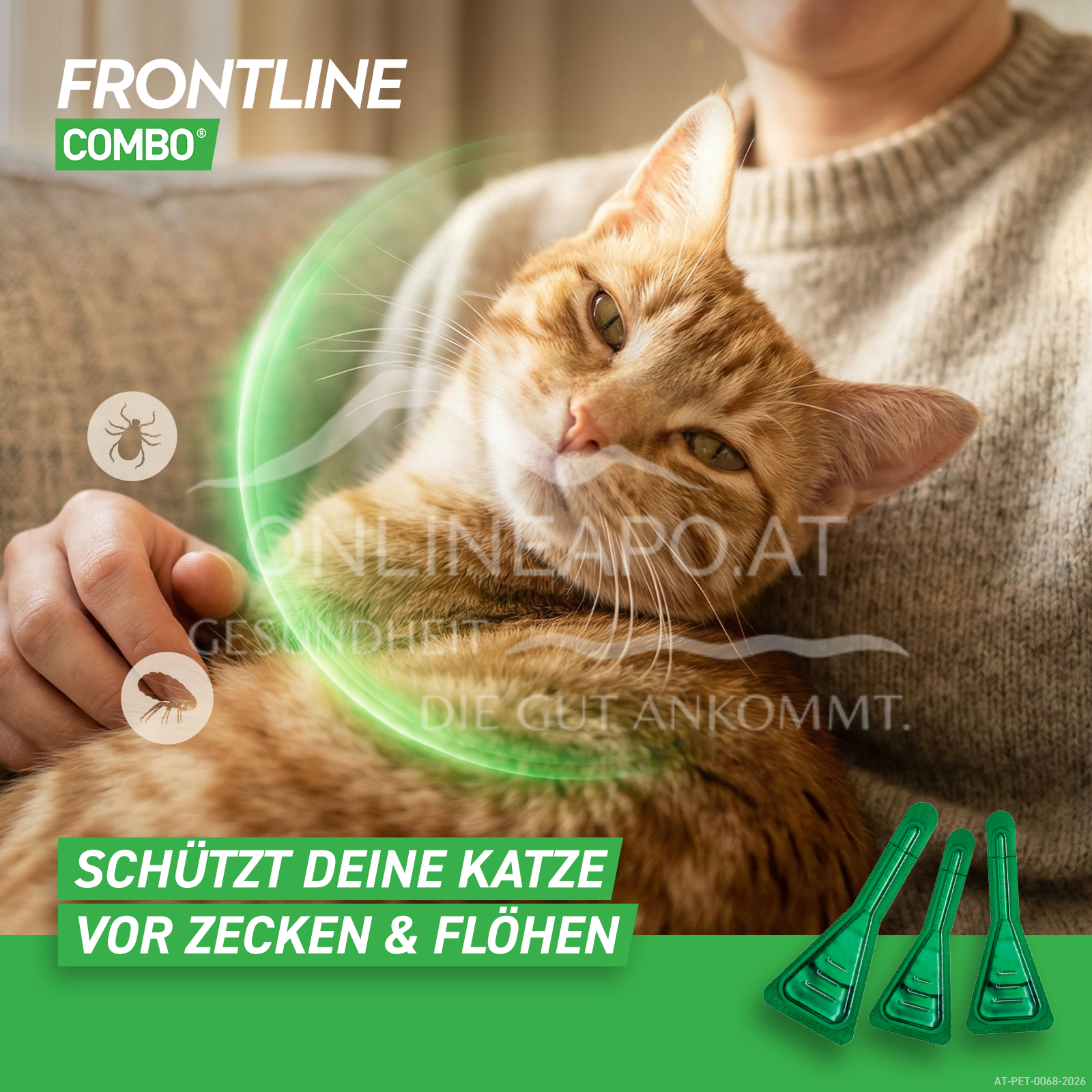 Frontline Combo Spot on cat solution to be dripped onto the skin