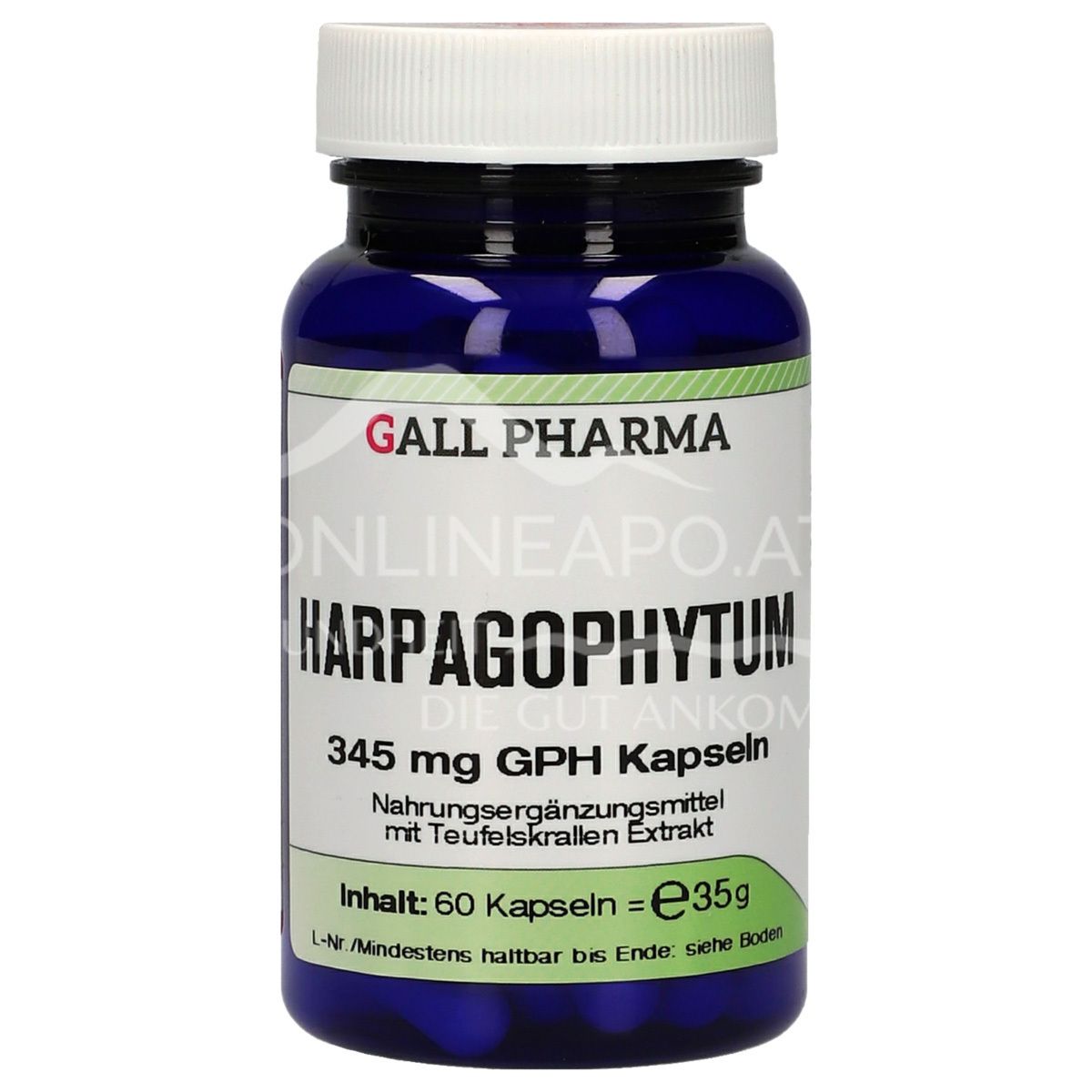Gall Pharma Harpagophytum 345 mg Kapseln
