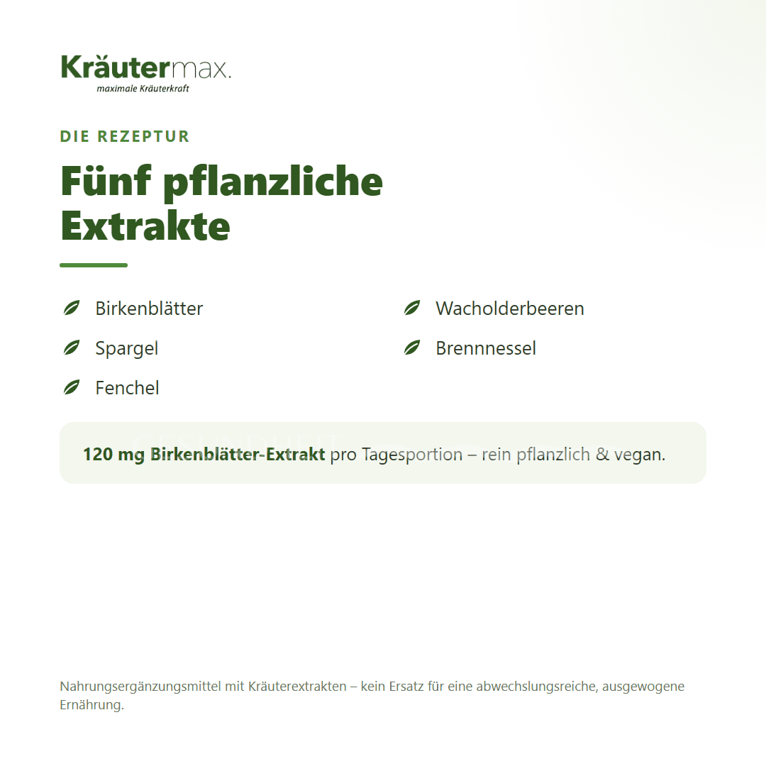 Kräutermax Birkenblätter plus Kapseln