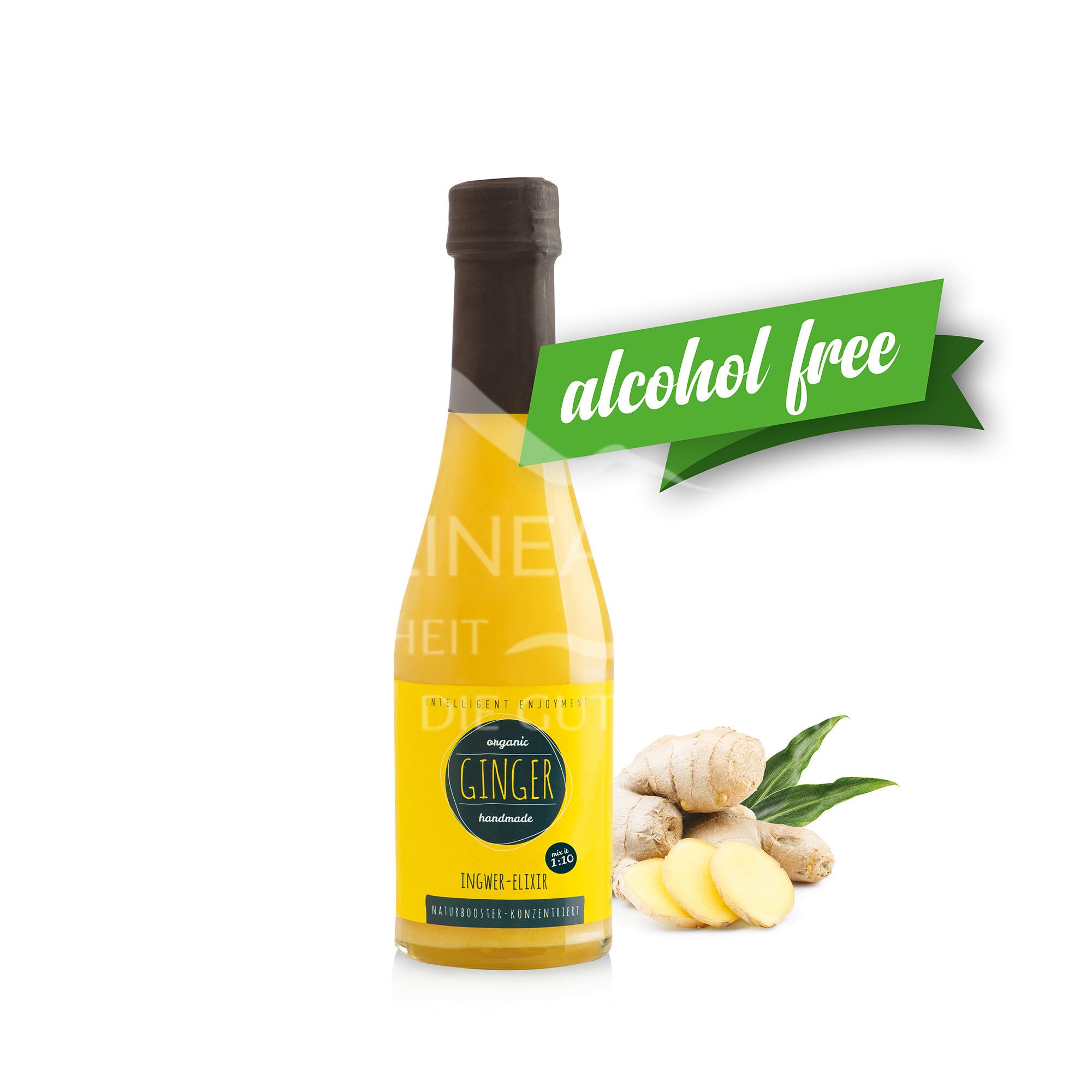 Obsthof Retter BIO Elixir Ginger