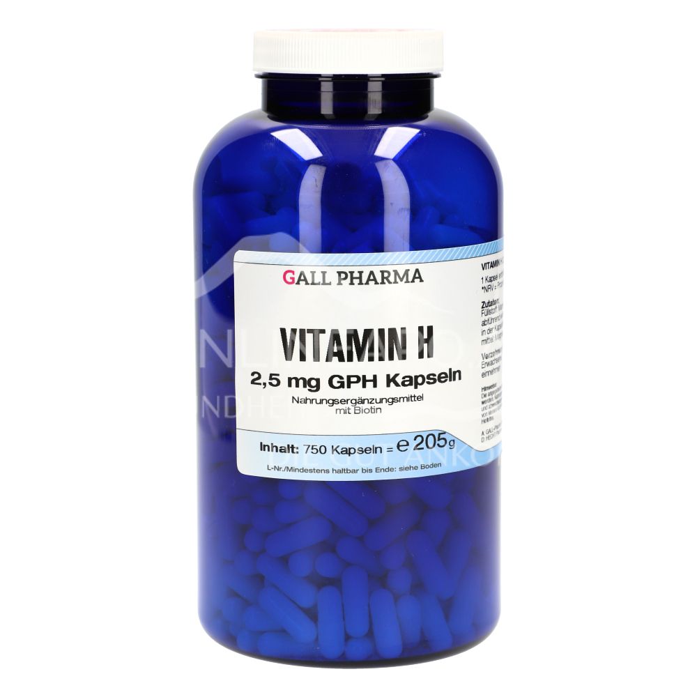 Gall Pharma Vitamin H 2,5 mg Kapseln