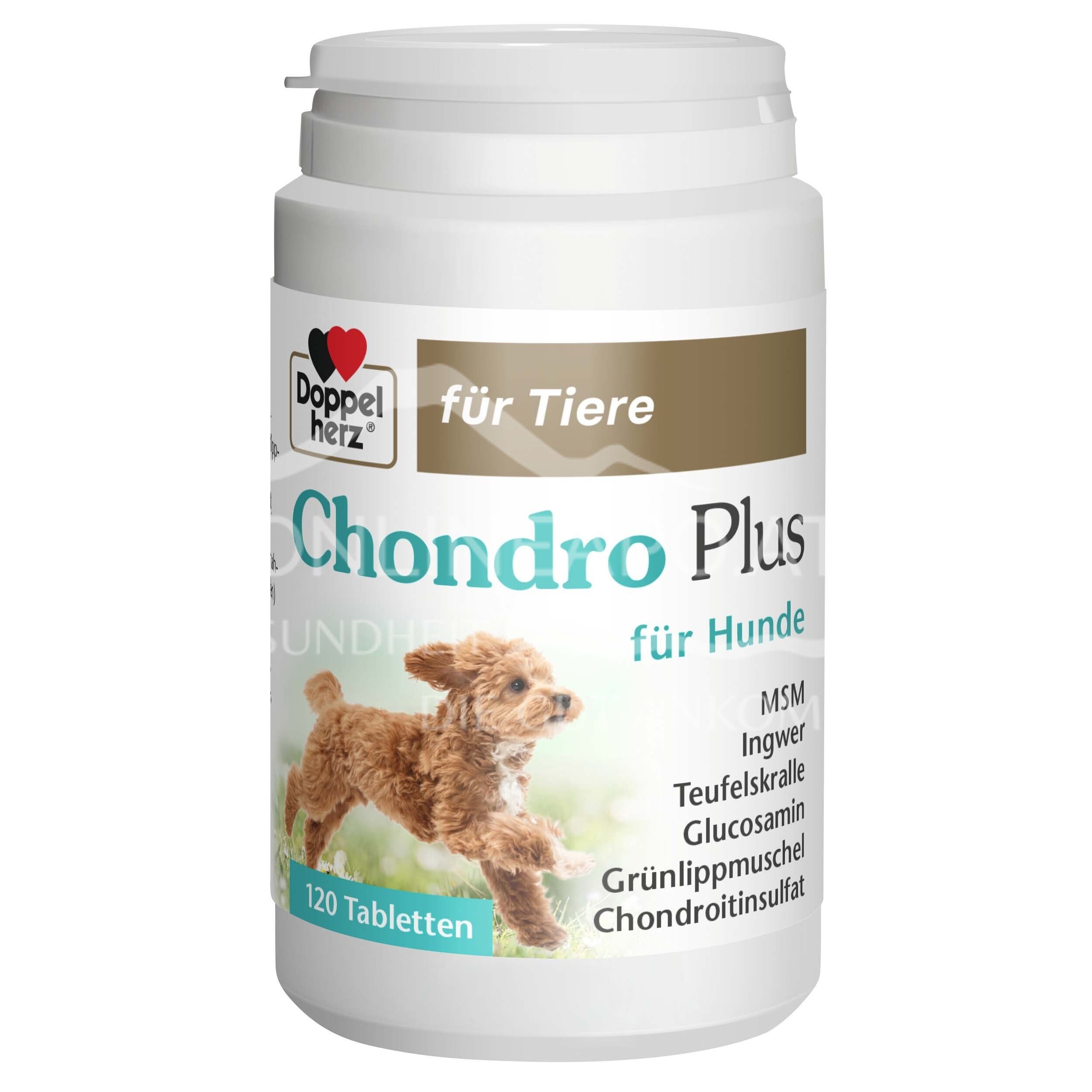 Doppelherz für Tiere Chondro Plus Tabletten für Hunde