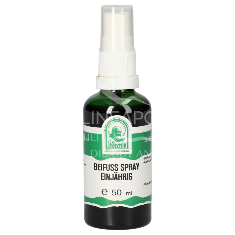 Father Severin Mugwort Spray Annual