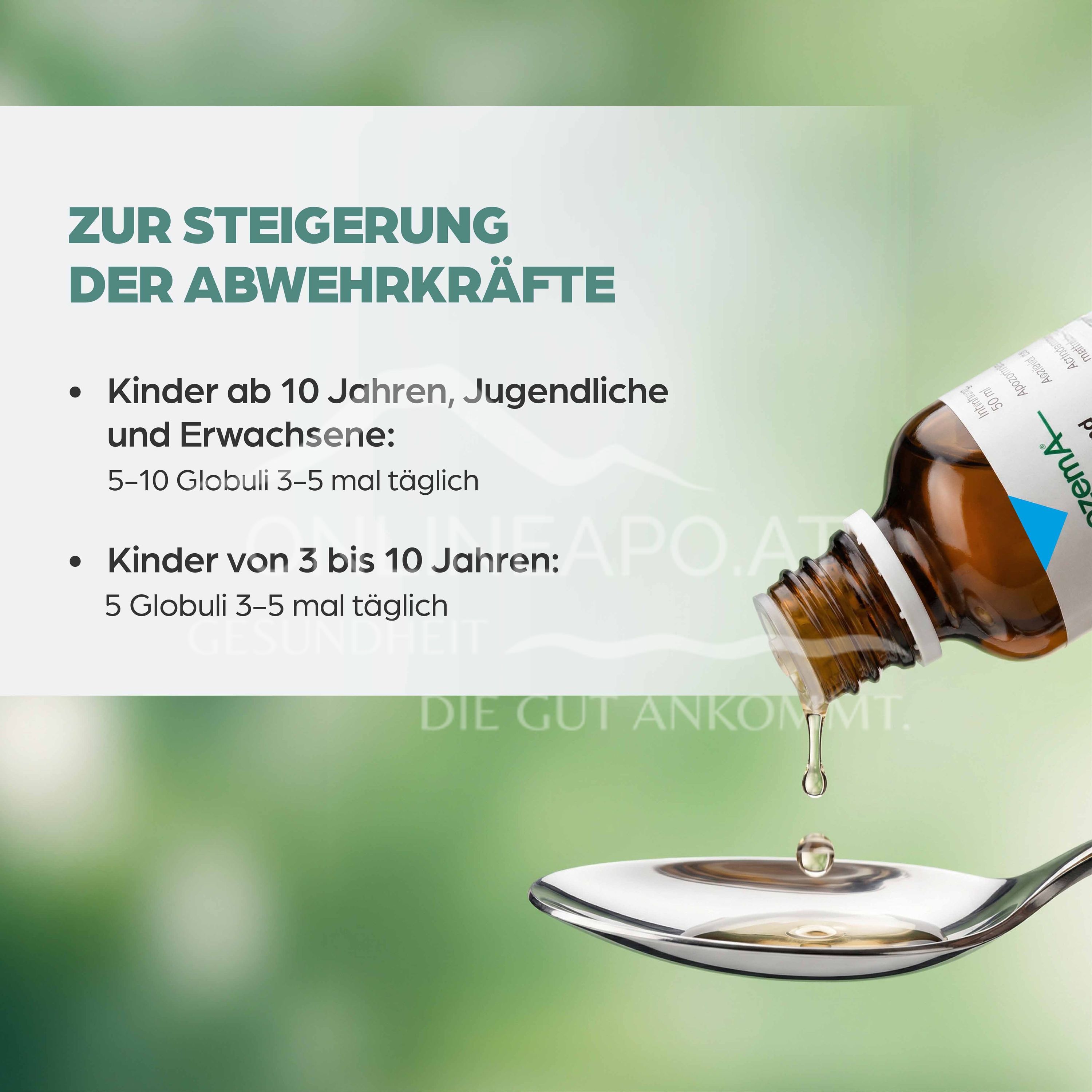 Apozema® No. 51: Triad globules to boost the body's defences Echinacea purpurea D4/D6/D12