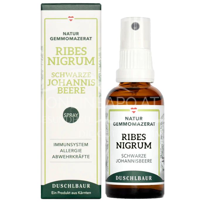 Duschlbaur Ribes nigrum Gemmo Mazerat (Schwarze Johannisbeere) Spray