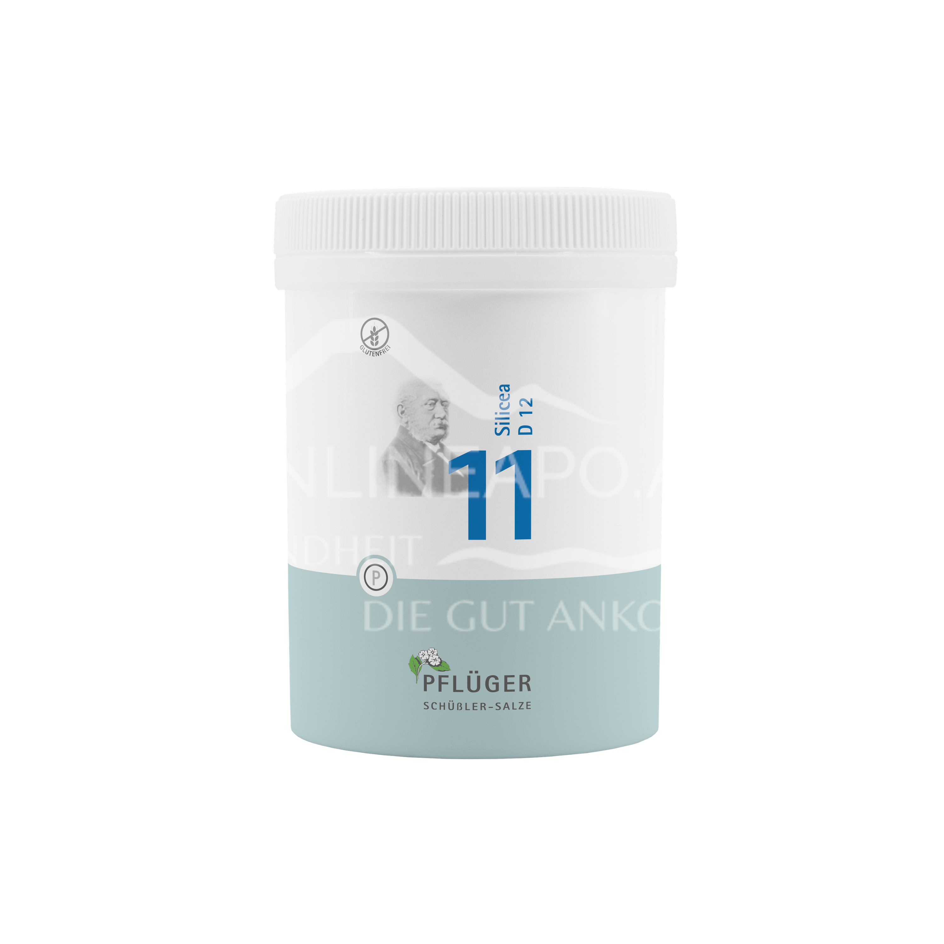 BIOCHEMIE PFLÜGER® Nr. 11 Silicea D 12 Tabletten