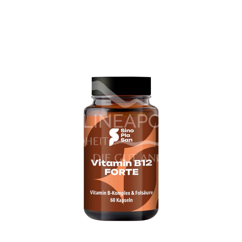 SinoPlaSan Vitamin B12 FORTE 500 mcg Methylcobalamin Kapseln