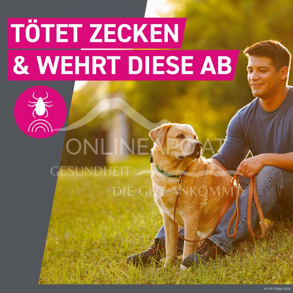 Frontline TRI-ACT® solution for dripping for dogs 40 - 60 kg