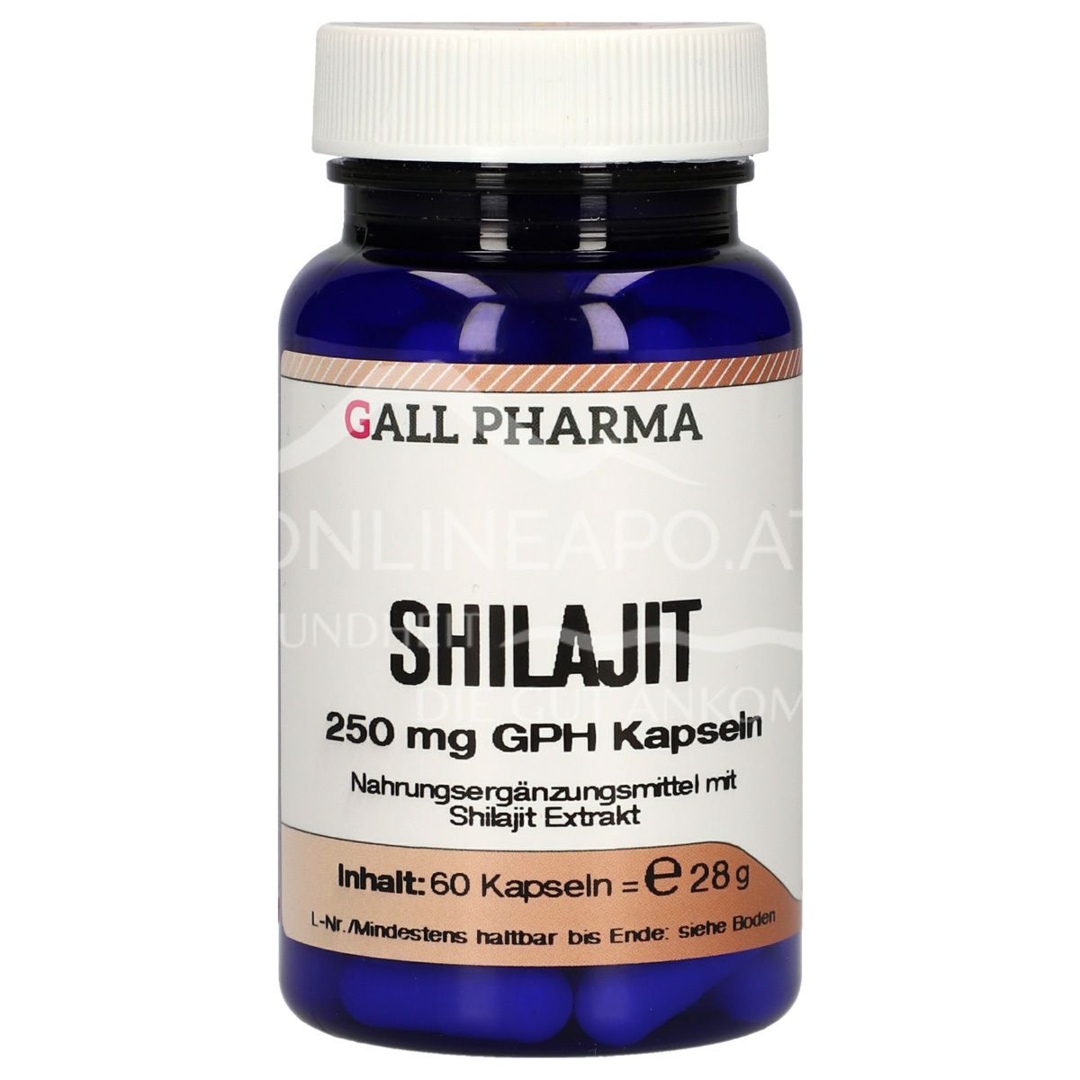 Gall Pharma Shilajit 250 mg Kapseln