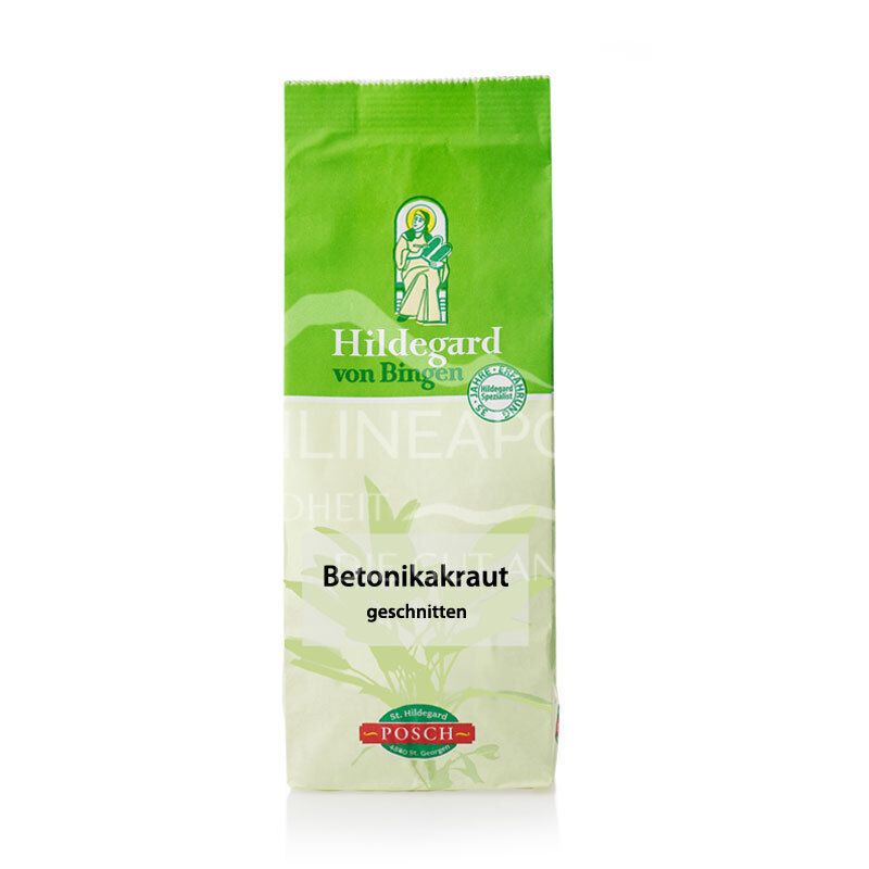 Hildegard von Bingen Betonikakraut geschnitten