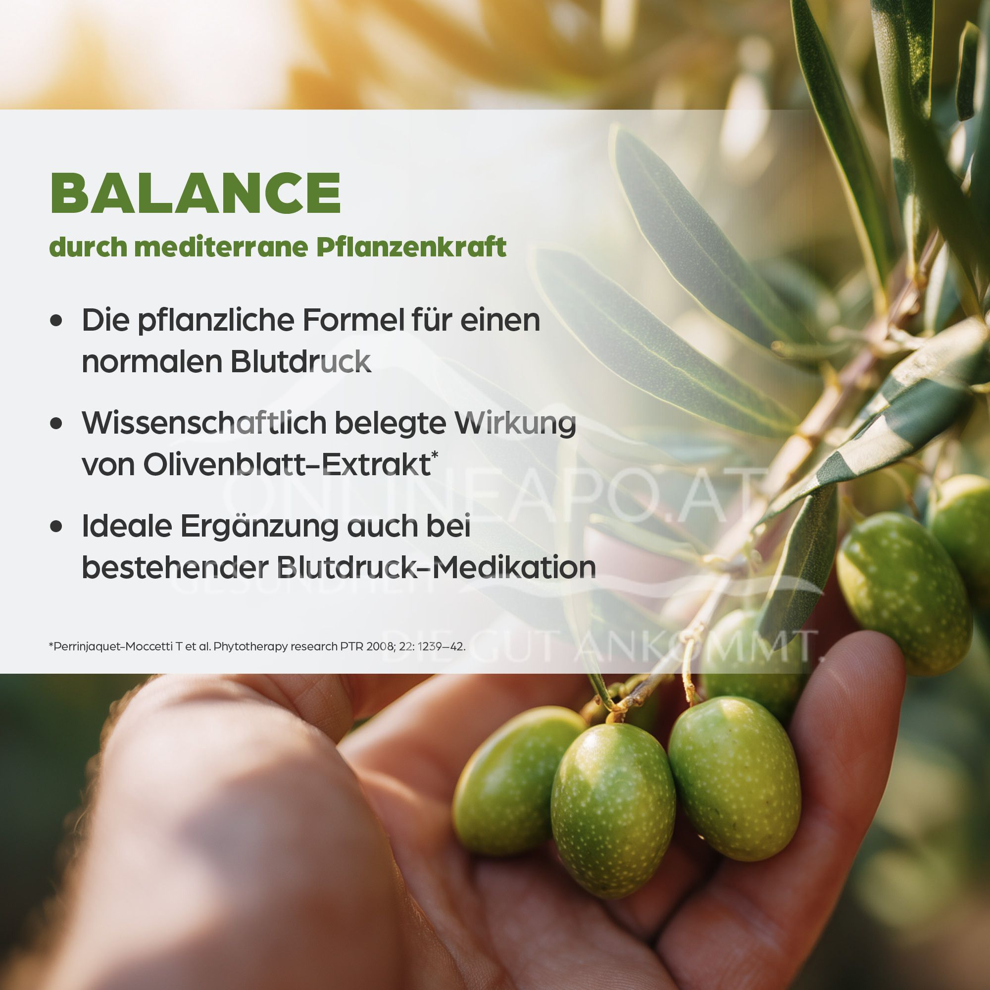 Dr Böhm® Blood Pressure Formula Tablets