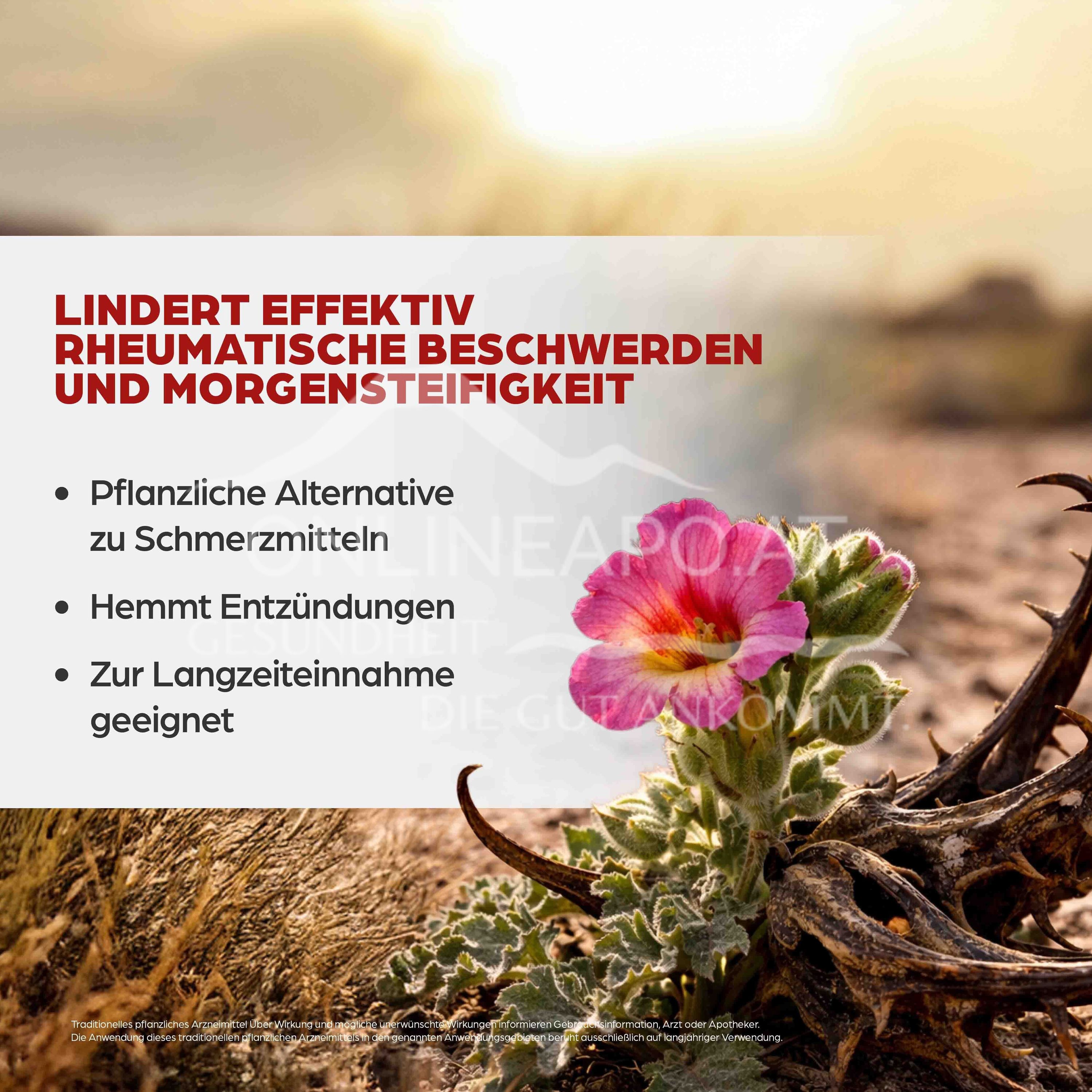 Dr Böhm® Devil's Claw 600 mg film-coated tablets